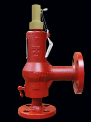 Taylor 8250 Relief Valve