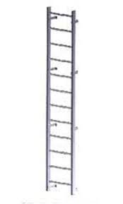 Wall-Mount Ladder SS 304