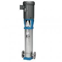 Gould's Product Recovery Pump